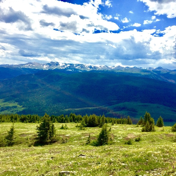 Meet your Posher, Joan - Picture 6 of 10